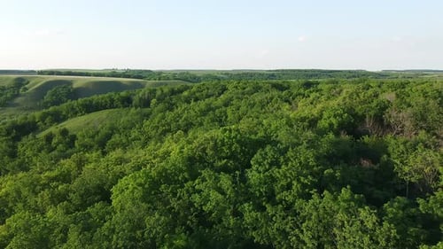 aerial view over the forest in a hilly area. tree crowns