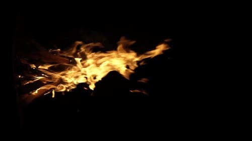 Fire Flame Isolated Black Isolated Background Beautiful Orange