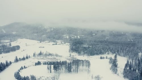 Foggy Winter Landscape - Drone Flying 4K - Mountains - Trees, rivers, snowy - Cinematic trees