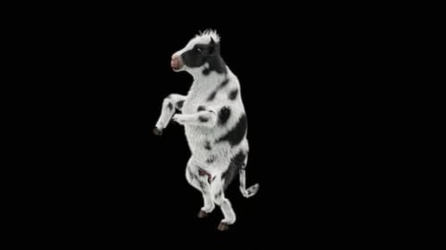 Funny Dancing Cow 3D Character Animation for Celebrations