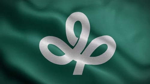 Textured Waving Flag Animation with Abstract Symbol