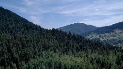 Aerial View Over Rolling Forest Hills