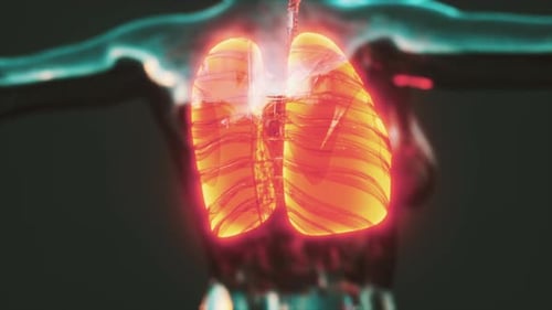 Glowing 3D Human Lungs Medical Animation