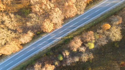 Vue aérienne de la route interurbaine avec des voitures rapides entre les arbres de la forêt d'automne au coucher du soleil