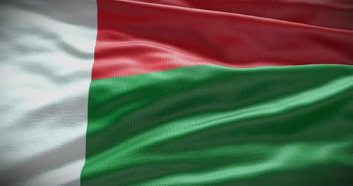 Seamless Loop of Madagascar National Flag Waving