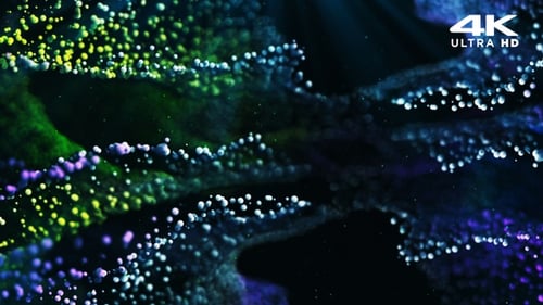 Abstract Wavy Particle Flow Background Animation