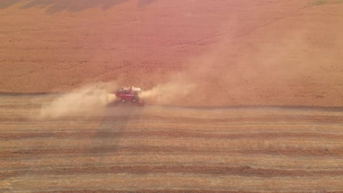 Aerial View Combine Harvester Agriculture Machine Harvesting Golden Ripe Wheat Field