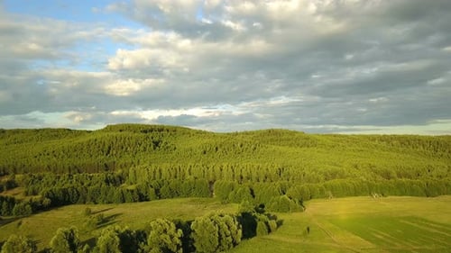 Lush Green Forest and Fields Aerial View