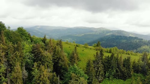 Aerial Drone View Mountains Covered with Green Grass and Green Trees. View of the Mountain Tops