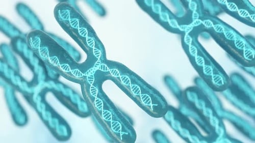 3D Animated Chromosomes with Glowing DNA Strands