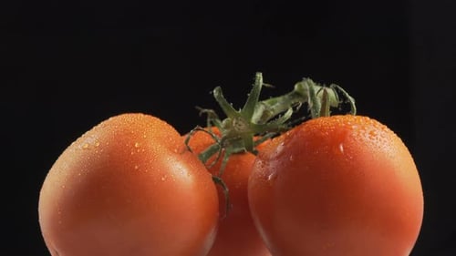 Drei frische Bio-Tomaten auf schwarzem Hintergrund in Rotation. Nahaufnahme