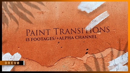 Paint Transition/ Natural Drawing Brush Pack/ Alpha Channel Animated Elements/ Black and White/ INK