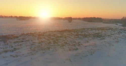 Aerial Drone View of Cold Winter Landscape with Arctic Field Trees Covered with Frost Snow and
