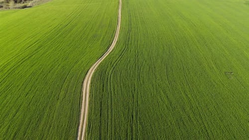 Aerial View Flying Over Green Agricultural Fields