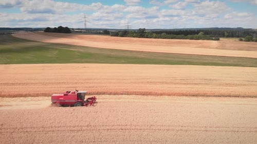 Erntemaschine sammelt reife Weizenernte auf gelbem Farmfeld