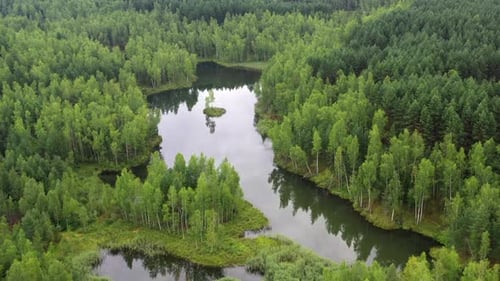 Aerial view of a forest lake with small island.