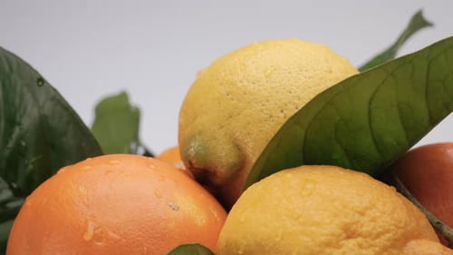 Citrus Fruit