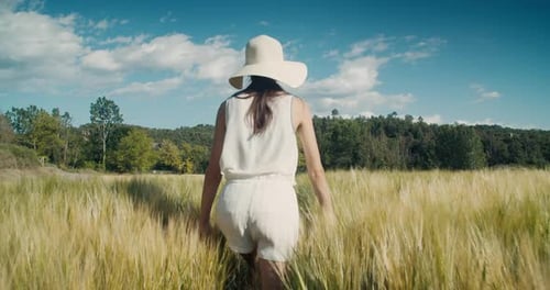 Romantic Young Adult Woman Walk on Agricultural Meadow and Touch Harvest