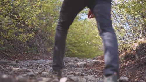 Tourist with a Backpack Goes Up Along the Stone Trail in Mountain Forest