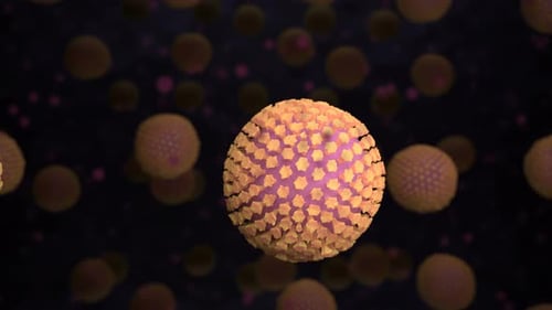 3D-Coronavirus-Zellen im Körper des Wirts