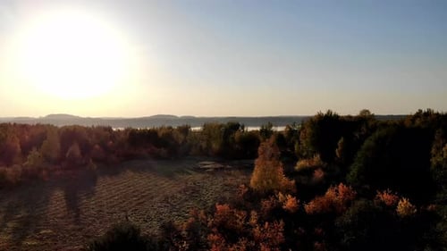 Flight over the autumn forest.