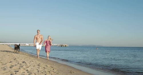 Fit couple walk down the beach with their playful dog