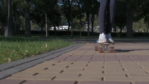 Child with skateboard in the park.