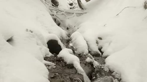 Stream Through Snow