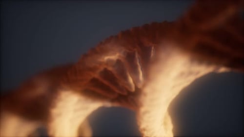 Loopable Structure of the DNA Double Helix Animation