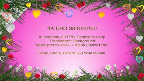 Romantic Floral Heart Border Frame Animation