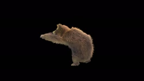 187 Bear Standing Magic Attack 4K