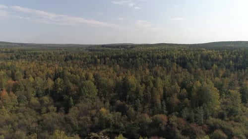 Luftaufnahme des Herbstwaldes 03
