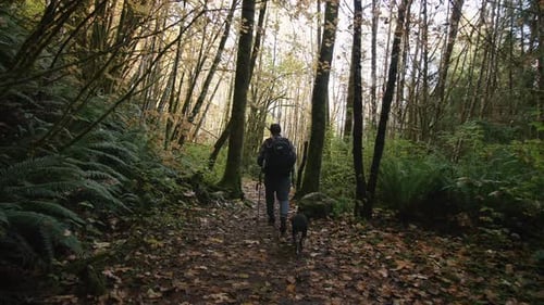 Man and Dog Hiking Through a Leafy Forest