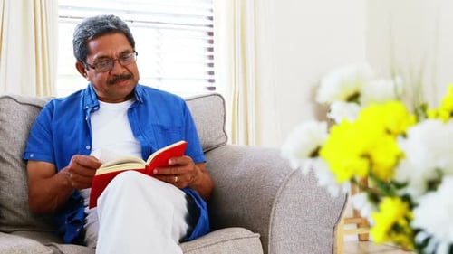 Adult Reading a Book on a Couch Indoors