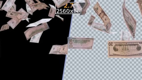 Realistic Falling US Dollar Bills Animation