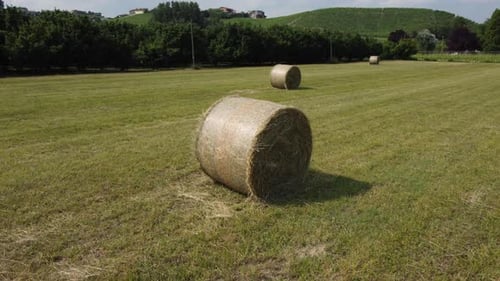 Hay Bales Dot a Rural Agricultural Field
