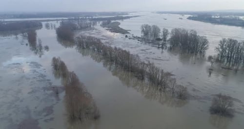 Aerial view of trees in high water in the river Waal, Gelderland, Netherlands.
