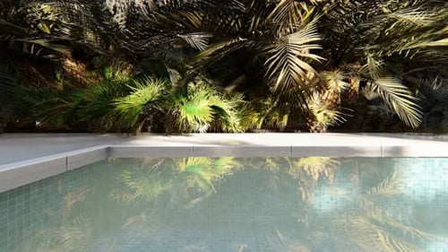 Pool and Palms