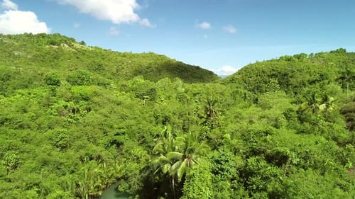 Vista aérea do Rio Bojo em direção ao Estreito de Tanon, Aloguinsan, Filipinas.