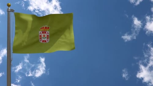 Realistic Green Flag with Crown Emblem Waving in Blue Sky