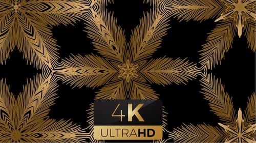 Golden Abstract Ornamental Kaleidoscope Motion Background