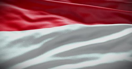 Realistic Red and White Waving Flag Loop