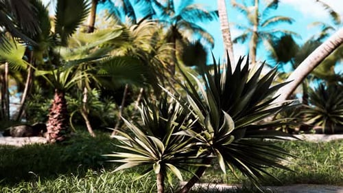 Tropical Jungle Scene with Swaying Palm Trees