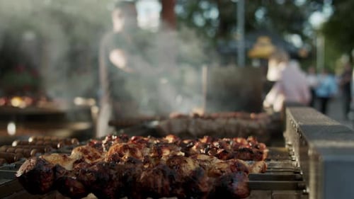 Shish Kebabs Cooking on Grill in City Park