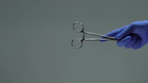 Doctor Taking Surgical Scissors From Nurse Hand, Hospital Cooperation, Operation