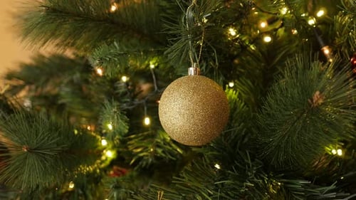 Gold color bauble with sequins hanged on the branch 4K 2160p 30fps UltraHD footage - Golden color or
