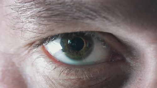 Male Eye Zoom to Computer Chip