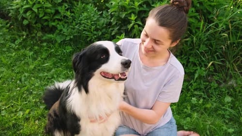 Lächelnde junge attraktive Frau streichelt und spielt mit süßem Hundewelpen Border Collie im Sommer im Freien
