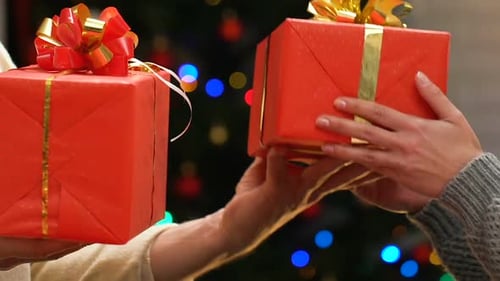 Christmas Gift Exchange with Festive Christmas Tree Lights