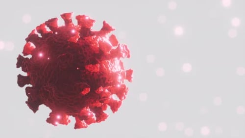 Microscopic View of a Infectious Virus SARSCoV2 Virus Cell